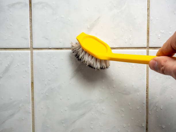 Best Local Mold Removal Service  in Weddington, NC